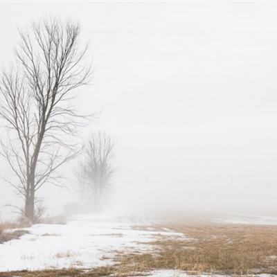 bat365官网登录入口手机app下载