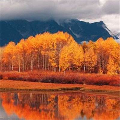 b体育官方体育app下载手机版截图