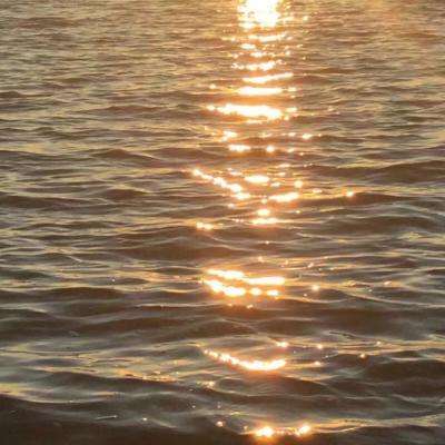 押注篮球的appapp下载